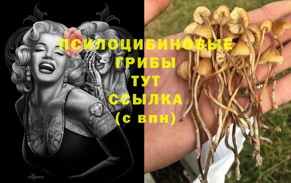 МДМА Горняк
