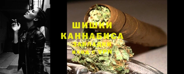 сатива Горно-Алтайск