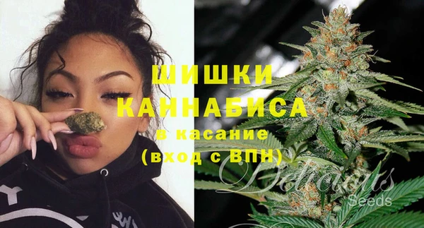 эйфоретик Горнозаводск