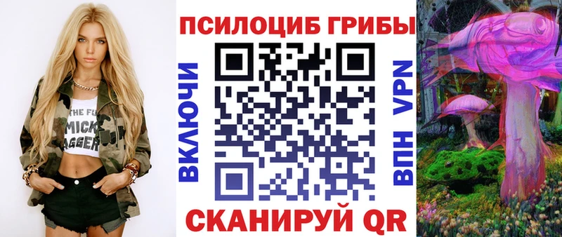 Галлюциногенные грибы ЛСД  Купить закладки  Шахунья 