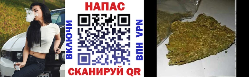 Марихуана SATIVA & INDICA  Купить где  Шахунья 